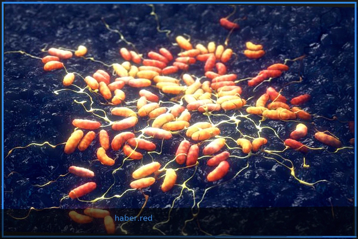 Suspected Pneumonic Plague Case Sparks Outbreak Fears