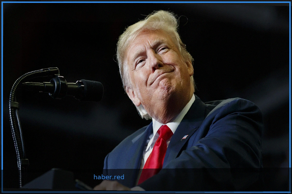 Expert Assesses Democrats' Chances of Impeaching Trump