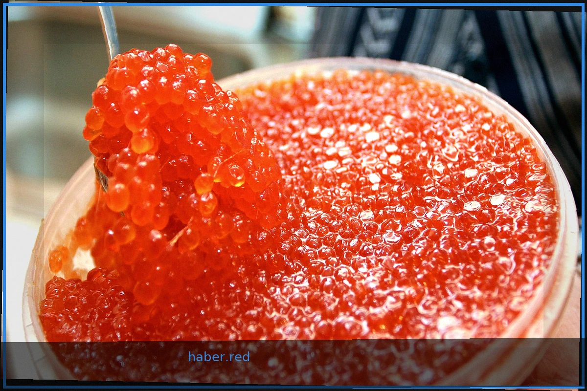 Two Tons of Red Caviar Seized in Magadan Region